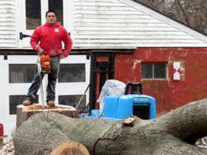 Emergency Tree Removal NJ